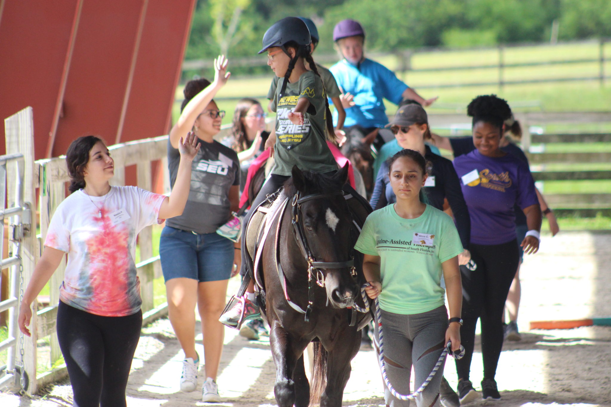 Horses