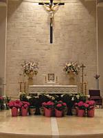 StElizabeth